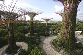 新加坡高层绿色数据中心的构想与争议